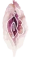 Vulva-Logo einer Hebammenpraxis in Schleswig